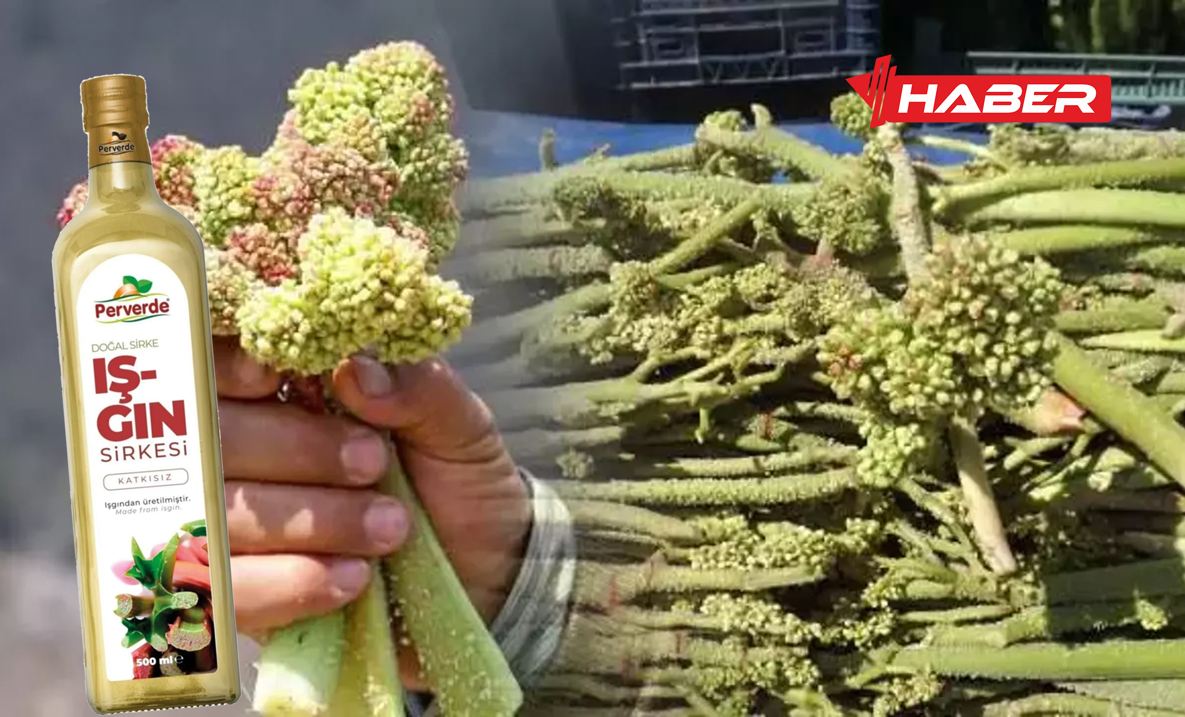 ışkın sirkesi