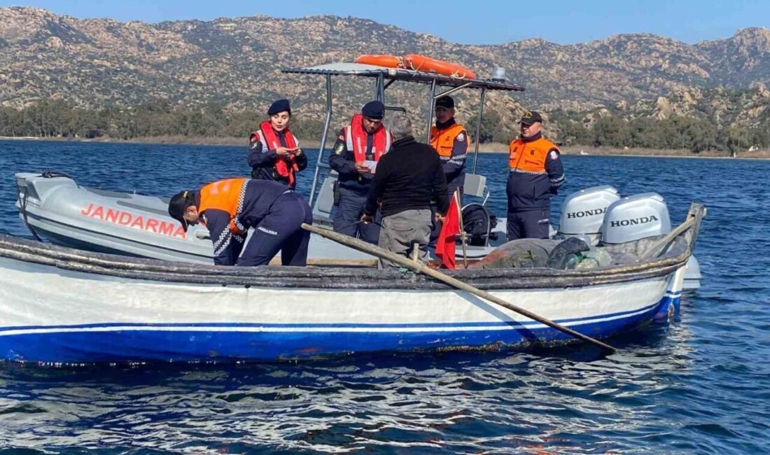 Aydın'ın Söke ilçesindeki Bafa Gölü Tabiat Parkı'nda nesli tehlike altındaki