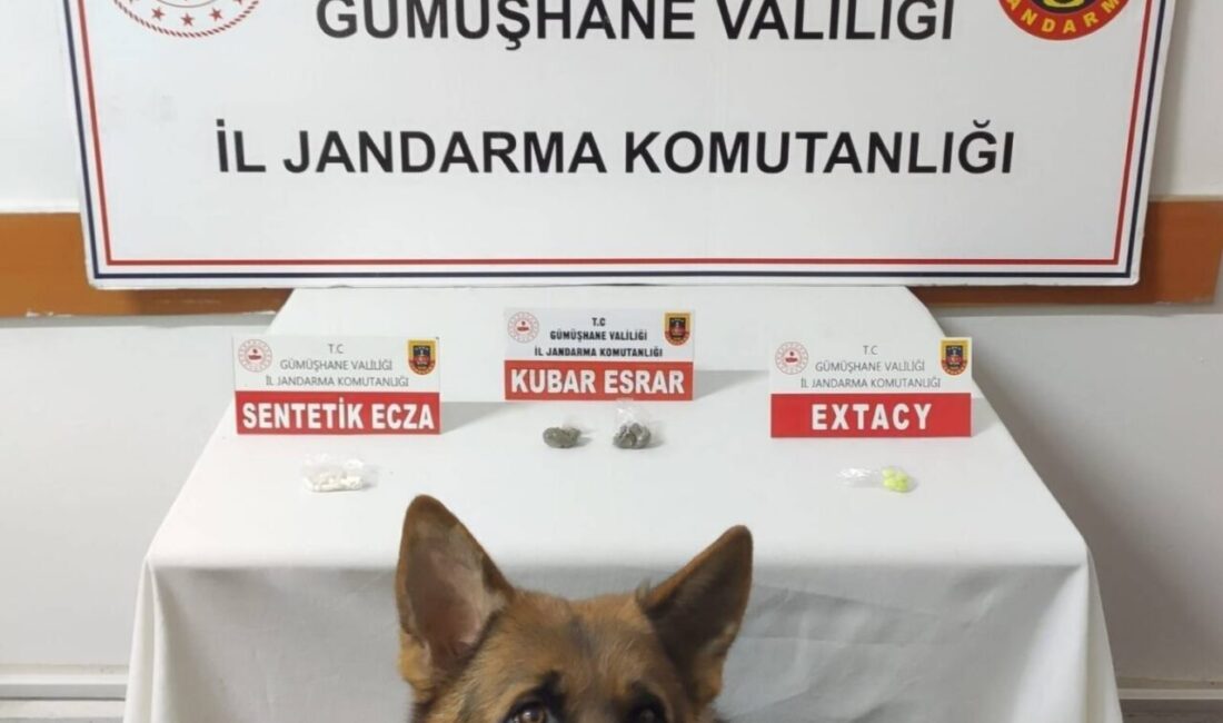 Gümüşhane'de jandarma, Rize'den uyuşturucu getiren H.O., U.O., U.A. ve M.O.
