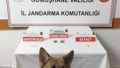 Gümüşhane'de jandarma, Rize'den uyuşturucu getiren H.O., U.O., U.A. ve M.O.