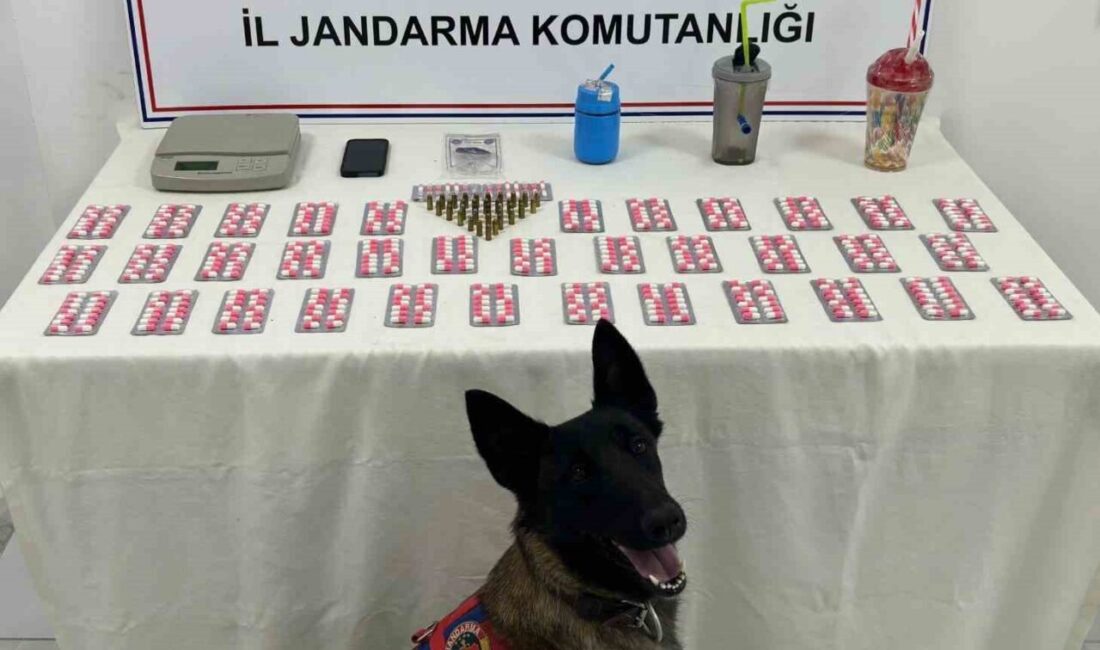 Kastamonu'da jandarma, İnebolu, Abana ve Bozkurt'ta 9 adrese düzenlediği operasyonda,