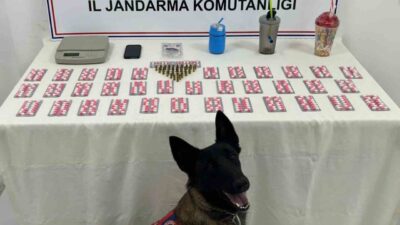 Kastamonu'da jandarma, İnebolu, Abana ve Bozkurt'ta 9 adrese düzenlediği operasyonda,