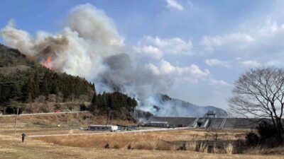 Japonya'nın Iwate eyaletinde çıkan orman yangınında 2 bin 114 kişiye