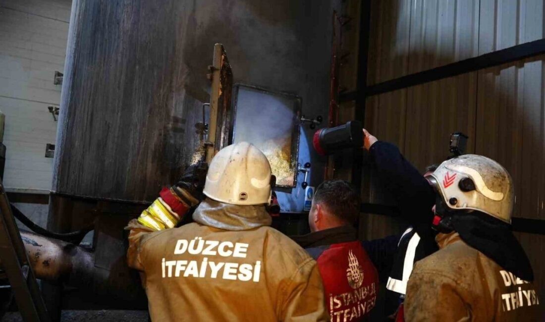 Düzce'nin Şaziye köyünde bir kereste fabrikasının kazan bölümünde çıkan yangında