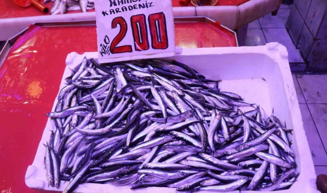 Sakarya'da hamsinin kilogram fiyatı