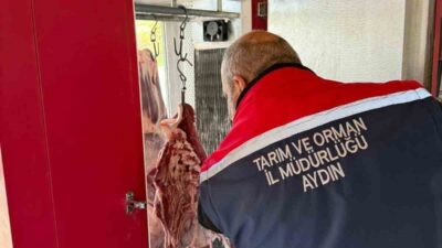 Koçarlı ilçesindeki kasaplar Tarım ve Orman Bakanlığı denetimi altında incelendi.