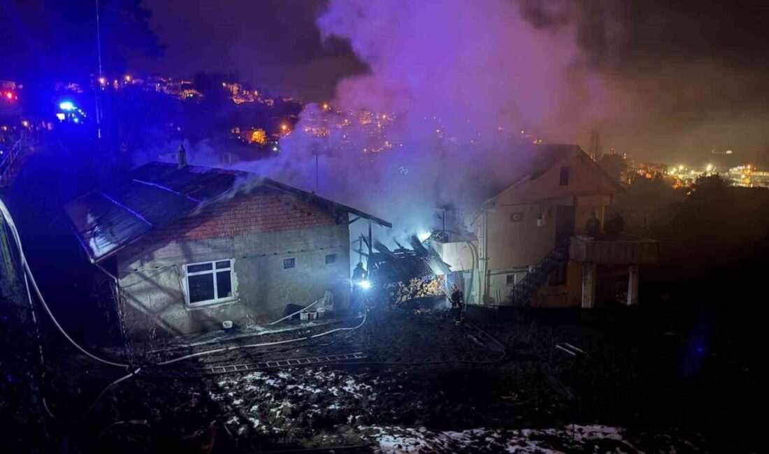 Zonguldak'ta bir evin kömürlüğünde ateş yakılması sonucu çıkan yangında Erdal