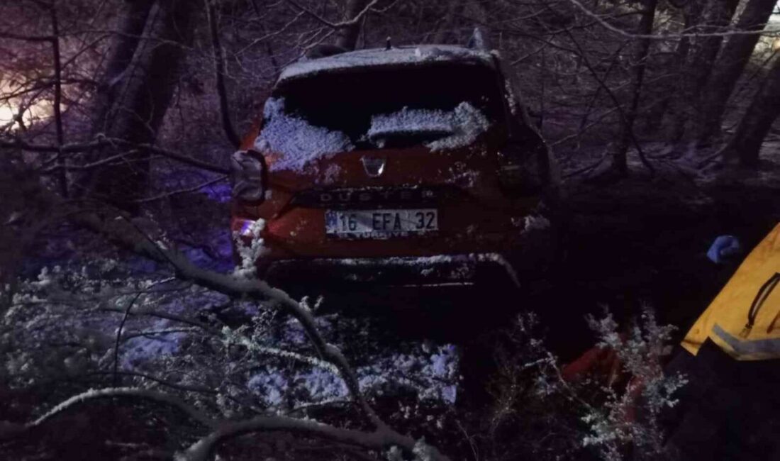 Bursa Mustafakemalpaşa'da, Mehmet A. kontrolündeki otomobil yoğun kar yağışı nedeniyle