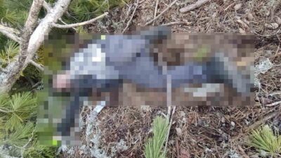 Kütahya'nın Hisarcık ilçesinde ağaç kesimi yapan 59 yaşındaki Salih Kalmaz,