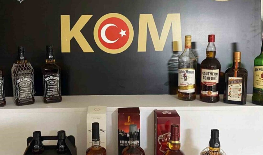 Emniyet Genel Müdürlüğü KOM Başkanlığı’nın koordinasyonunda, Muğla'da gerçekleştirilen operasyonlarda, 93
