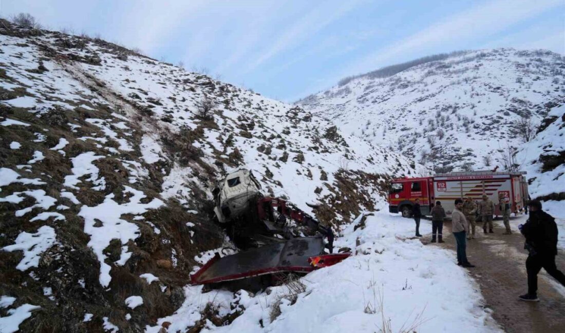 Muş'ta Cihat Atay yönetimindeki park halindeki vinç, belirtilmeyen bir sebeple