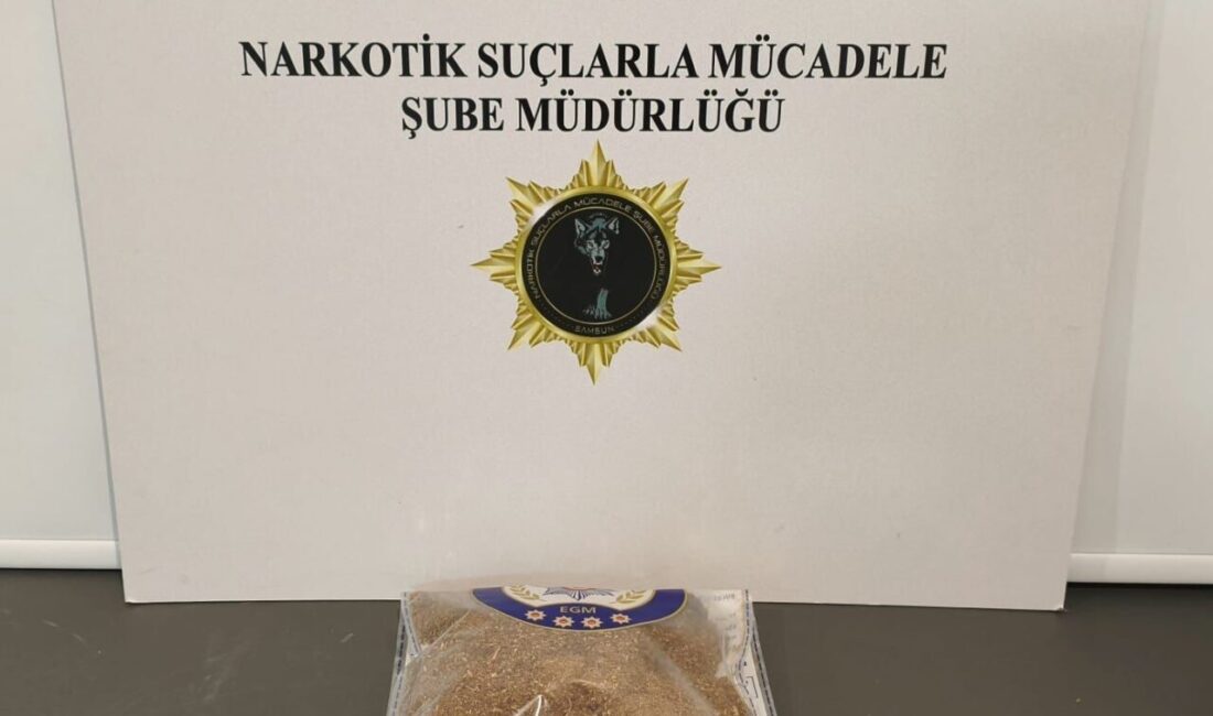 Samsun'da düzenlenen uyuşturucu operasyonunda 734 gram bonzai ele geçirildi. Operasyonda
