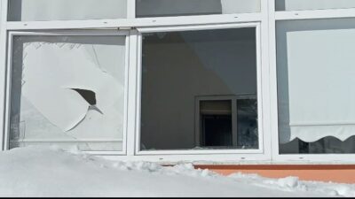 Giresun'un Sis Dağı'ndaki ayılar, aç kaldıkları için 40 eve zarar