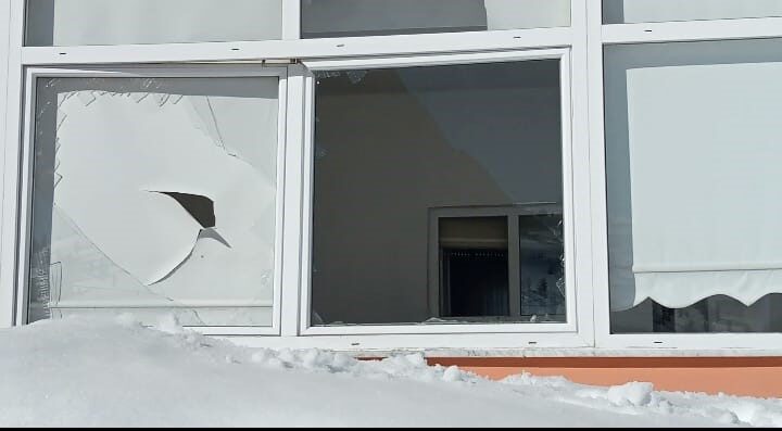 Giresun'un Sis Dağı'ndaki ayılar, aç kaldıkları için 40 eve zarar