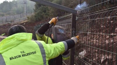 Bilecik Belediyesi, sokak hayvanlarının yaşam koşullarını iyileştirmek amacıyla doğal yaşam