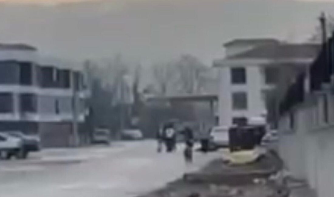 Adapazarı'nda bir polis memuru eski kayınpederini öldürüp bacanağını yaraladı. Olay