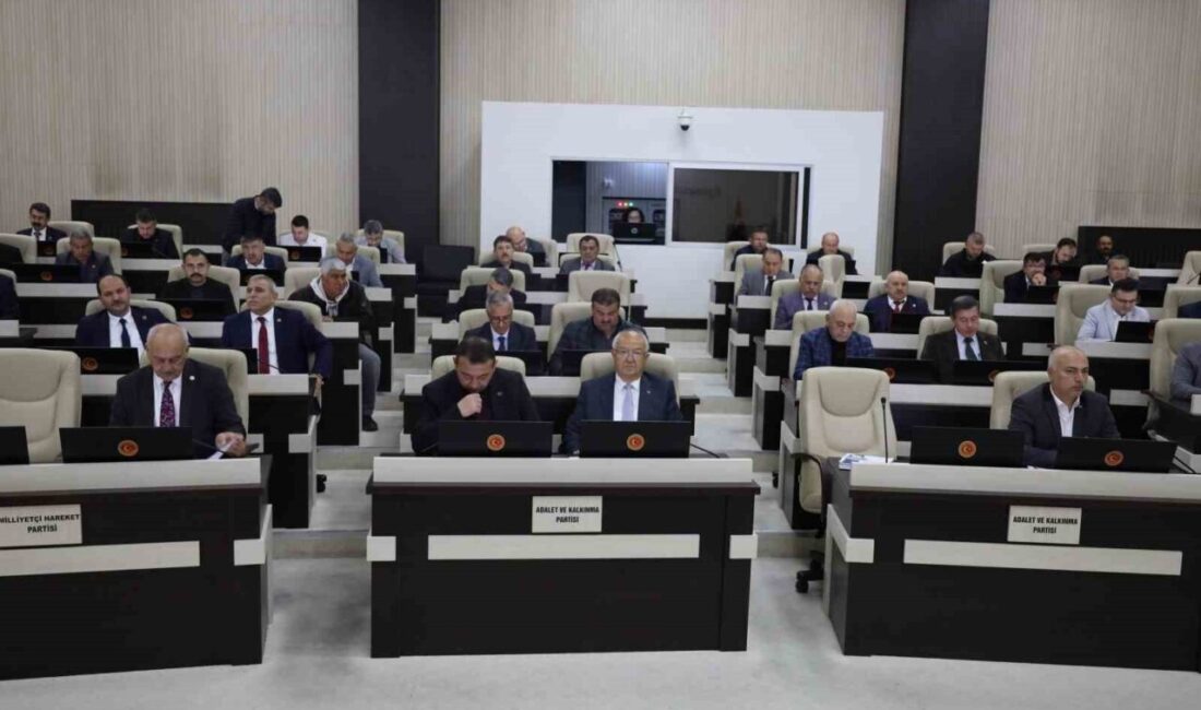 İl Genel Meclisi (İGM) Şubat toplantısında, Sürdürülebilir Koyun Projesi değerlendirildi.