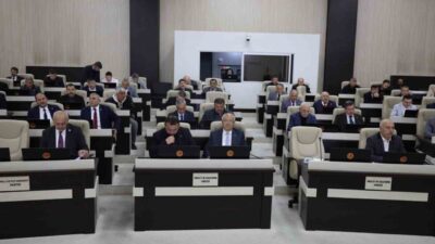 İl Genel Meclisi (İGM) Şubat toplantısında, Sürdürülebilir Koyun Projesi değerlendirildi.