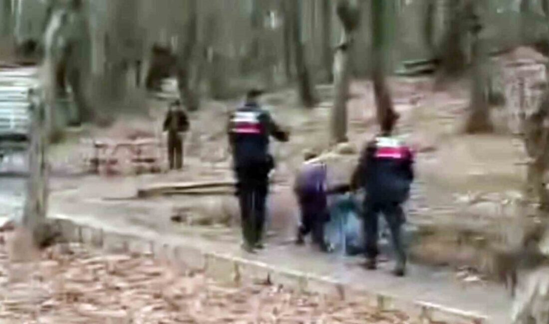 Sakarya'nın Akyazı ilçesindeki tabiat parkından çeşitli eşyaları çalan A.Y. (44)