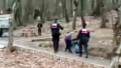Sakarya'nın Akyazı ilçesindeki tabiat parkından çeşitli eşyaları çalan A.Y. (44)