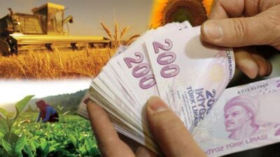 Yerköy İlçe Tarım ve Orman Müdürlüğünden yapılan paylaşımda;  Tarıma dayalı