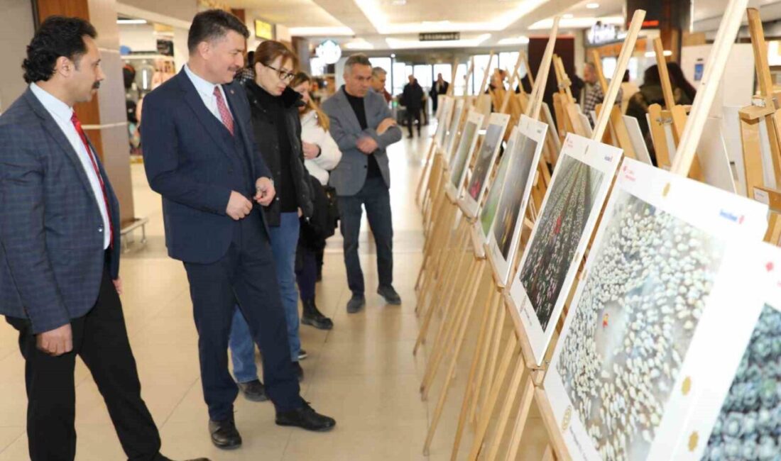 Tarım ve Orman Bakanlığı tarafından düzenlenen ve uluslararası boyutta gerçekleşen