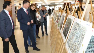 Tarım ve Orman Bakanlığı tarafından düzenlenen ve uluslararası boyutta gerçekleşen