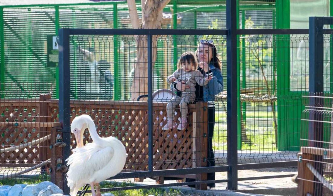 Mersin Büyükşehir Belediyesi'ne bağlı Tarsus Doğa Parkı, sömestr tatilinde binlerce