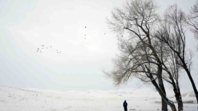 Erzurum’un Tekman ilçesinin Hacıömer Köyü'nde gece sıcaklık -25.2'ye kadar düşerken,