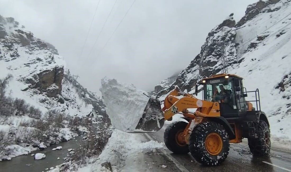 Tunceli'de olumsuz hava koşulları sebebiyle bir ilçede tüm okullar tatil