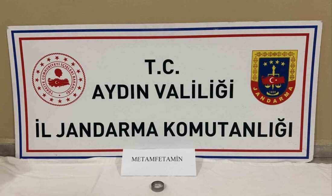 Aydın'da jandarma, uyuşturucu kullandığı belirlenen 9 kişiyi yakaladı. E.Ç., M.D.,