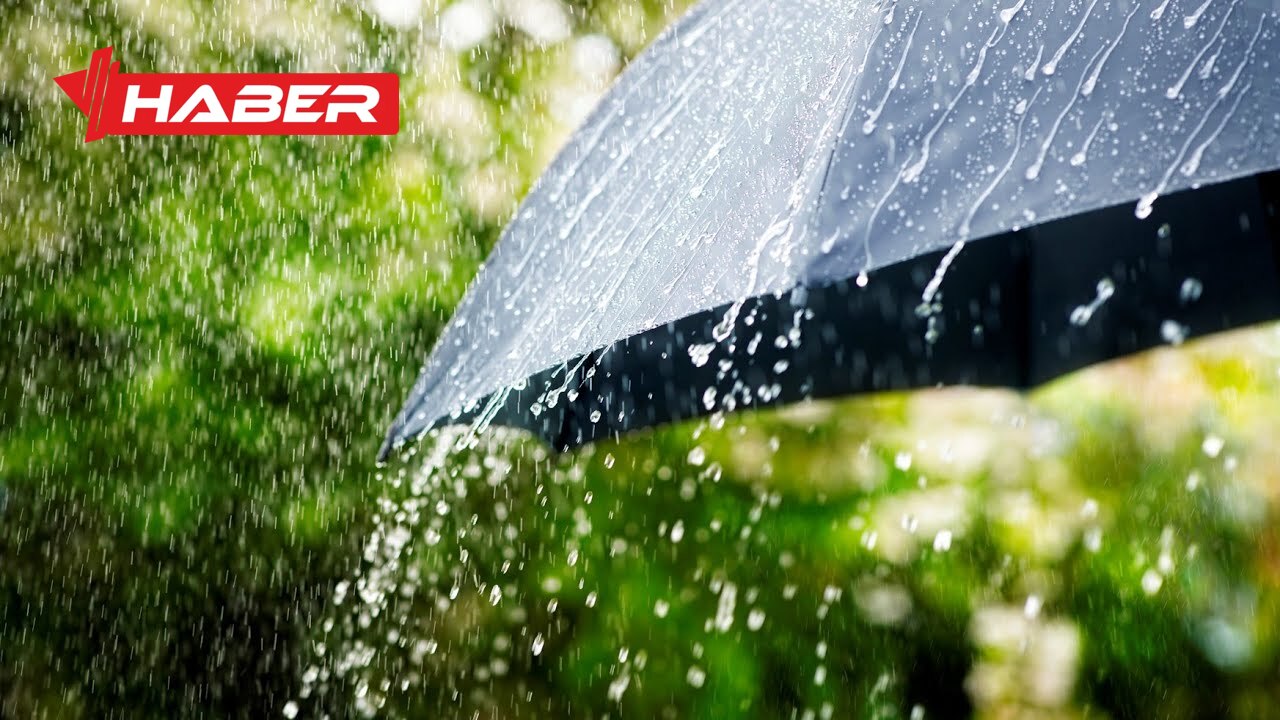 yağmurun bitkilere faydası