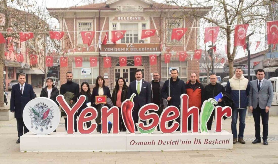 Yenişehir Belediyesi'nin Tarımsal Kalkınma Kooperatiflerini Destekleme Projesi, Japonya Uluslararası İşbirliği