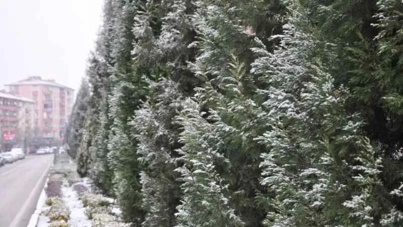 Meteoroloji Genel Müdürlüğü’nden alınan verilere göre, 11 Şubat 2025 Salı
