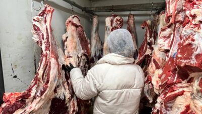 Yerköy İlçe Tarım ve Orman Müdürlüğü, ilçeye bağlı gıda üretim