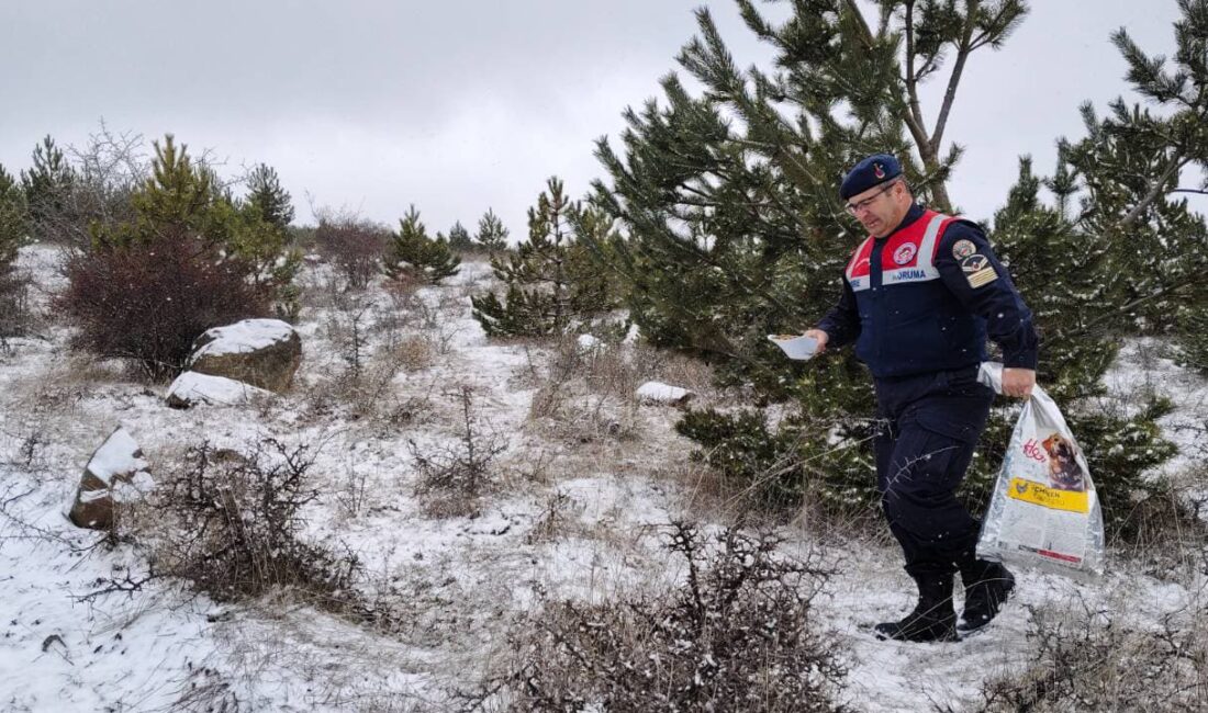 Yozgat İl Jandarma Komutanlığı’na bağlı Çevre, Doğa ve Hayvanları Koruma