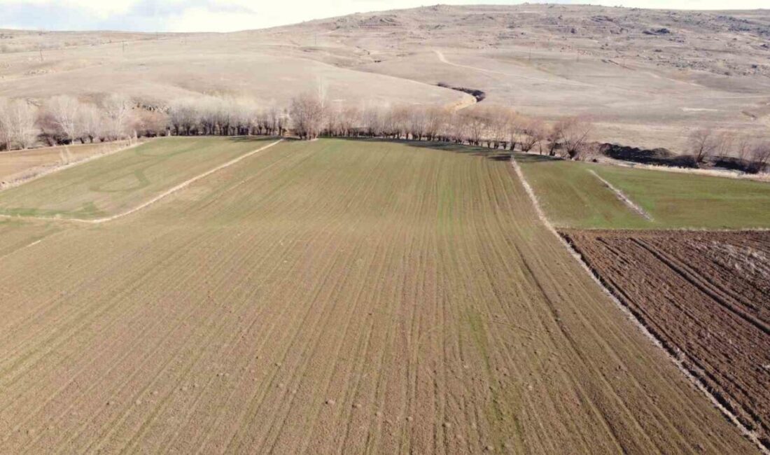 Yüksek rakımlı bölgelerde karla mücadele devam ederken, alçak kesimlerde ilkbaharın