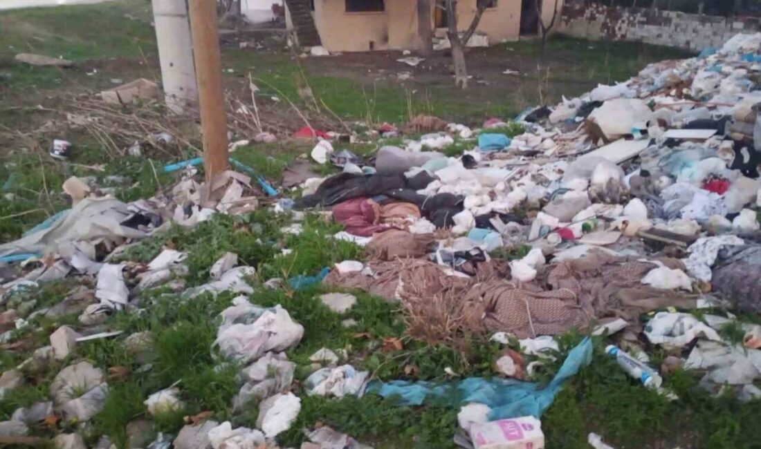 Yunusemre Belediyesi, Muradiye Mahallesi'nde büyük bir temizlik operasyonu düzenledi. 2