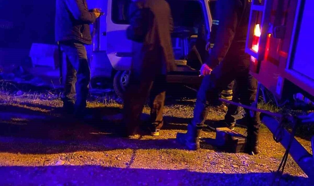 Zonguldak'ın Çaycuma ilçesinde S.A. yönetimindeki hafif ticari araç, direksiyon hakimiyetini