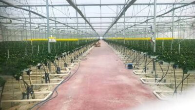 Tarım ve Orman Bakanlığı’nın onayıyla Türkiye’nin 44. Tarıma Dayalı İhtisas