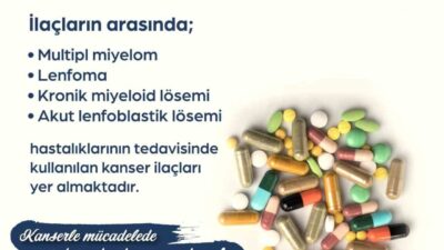 Çalışma ve Sosyal Güvenlik Bakanı Vedat Işıkhan, Sosyal Güvenlik Kurumu