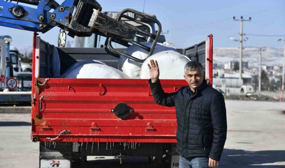 Ankara'da hayvan yetiştiricilerine mısır silajı desteği veren Ankara Büyükşehir Belediyesi,