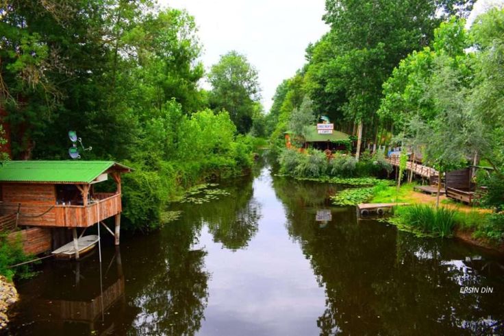 acarla longozu nerede