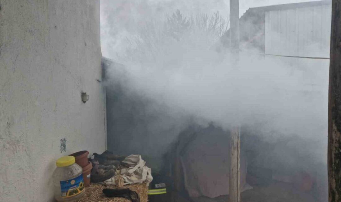 Alaca ilçesindeki Yıldızhan Mahallesi'nde çıkan müstakil ev kömürlüğü yangınında itfaiye