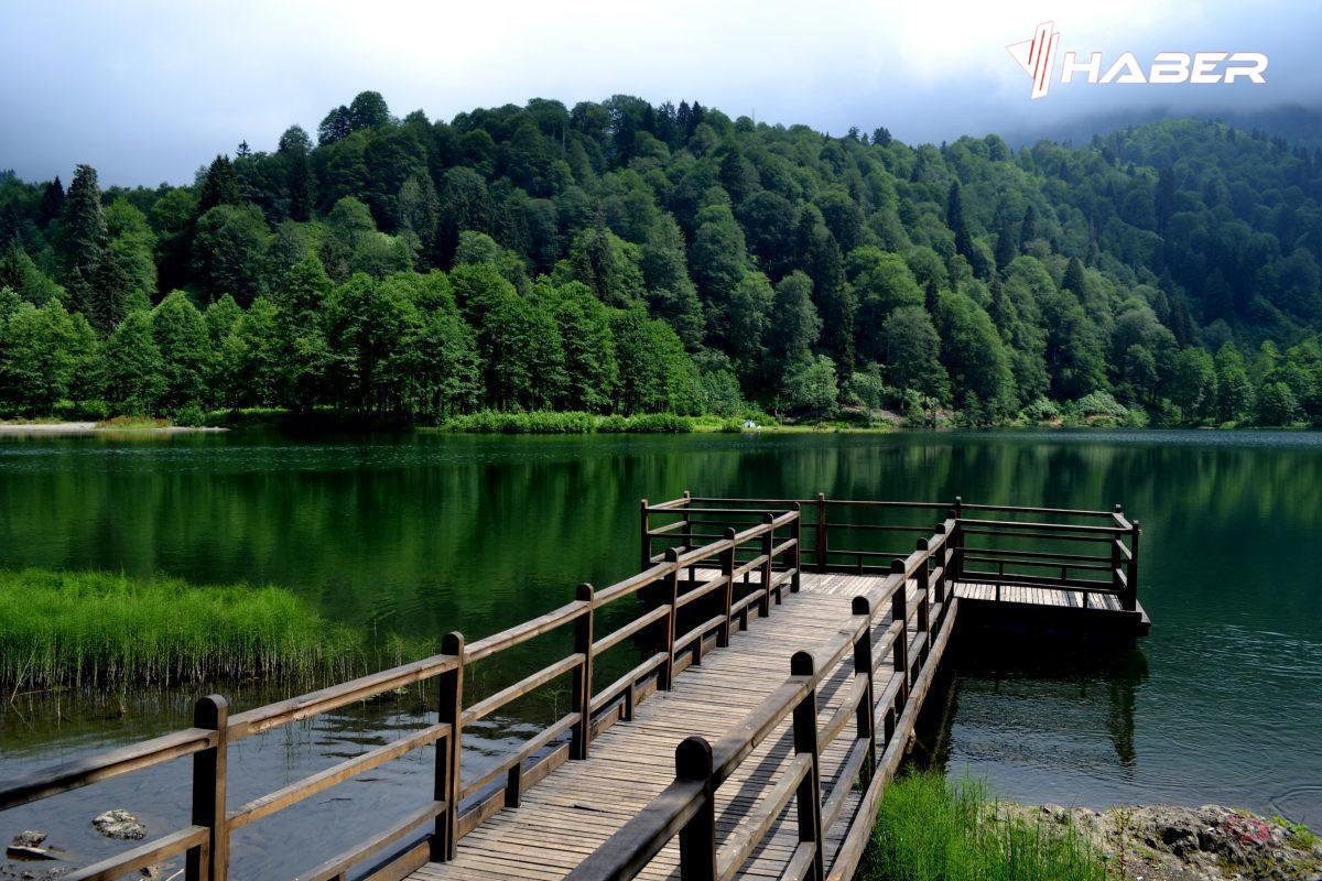 artvin karagöl nerede