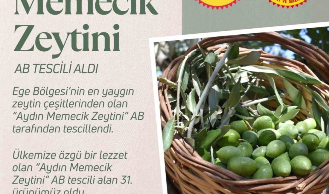 Aydın Memecik Zeytini, Türkiye'nin AB'den coğrafi işaret alan 31. ürünü
