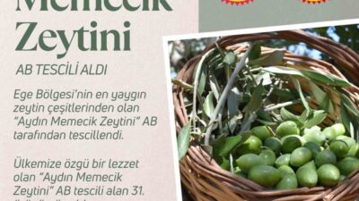 Aydın Memecik Zeytini, Türkiye'nin AB'den coğrafi işaret alan 31. ürünü