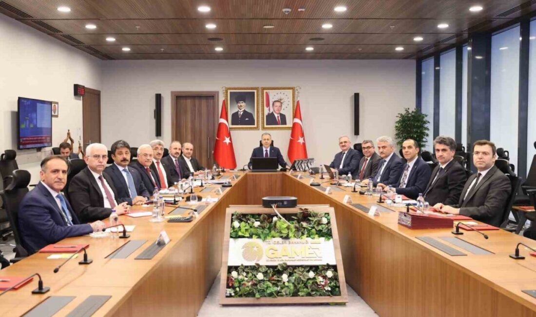 İçişleri Bakanı Ali Yerlikaya, sokak hayvanlarının bakımevlerine yerleştirilmesi konusunda yapılan