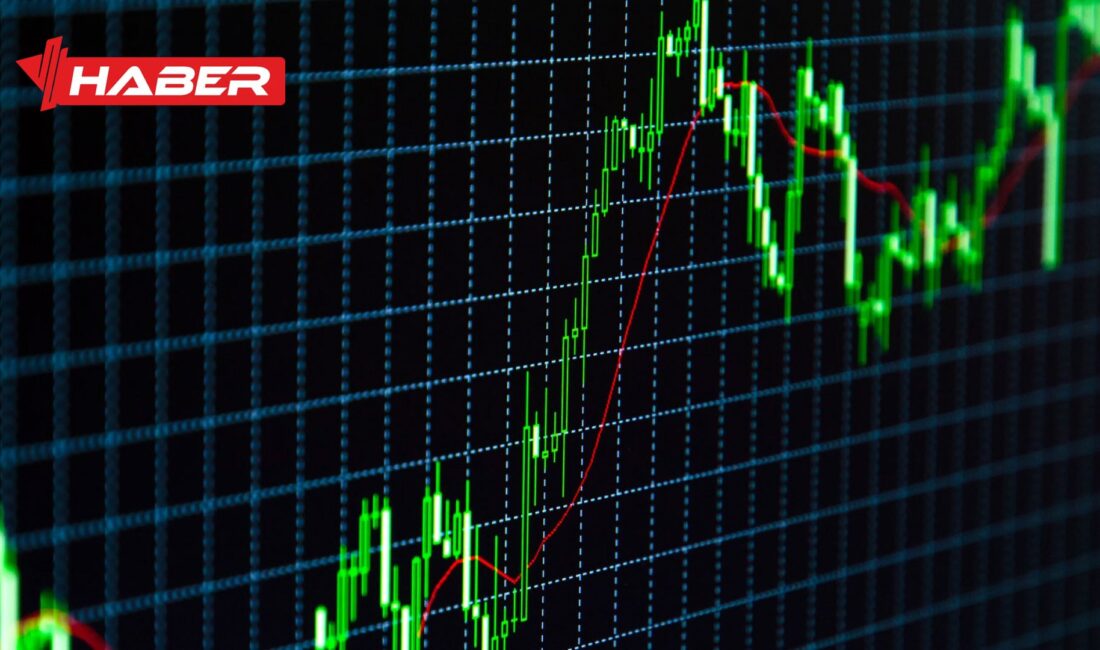 Borsa İstanbul'da yatırım yapanlar,