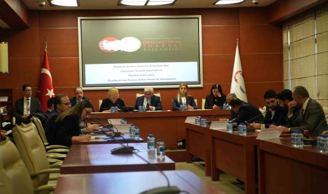 Nallıhan'daki Çayırhan Termik Santrali ve maden sahaları 20 milyar liraya